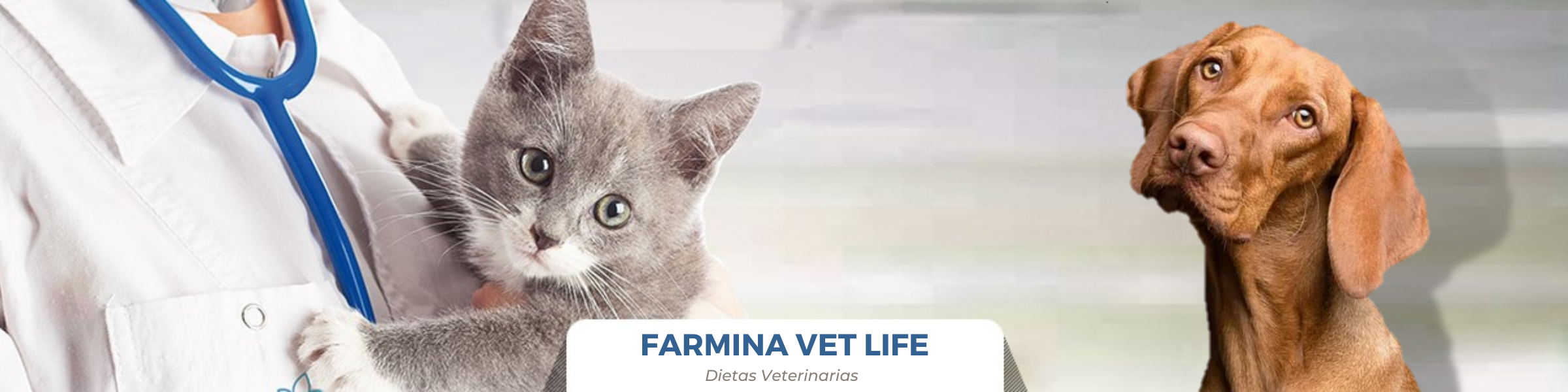 Gama VET LIFE - Dietas Veterinarias Farmina para perros y gatos